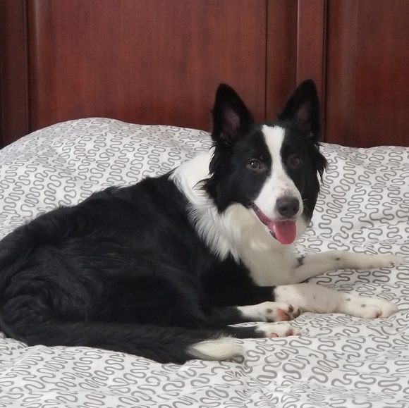 Meet your Posher, Oksana - Picture 1 of 1